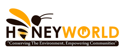 rainboweye.co.zw banners, vinyl, pvc & canvas , 2023 diaries2023, letterheaads , flyers , tshirt printing, logo designing, digital printing, calendars, canvas printing, graphic designing services,  business cards , roll up banners